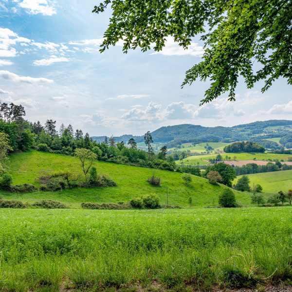 der-odenwald-in-deutschland-ist-reine-natur_181624-32381