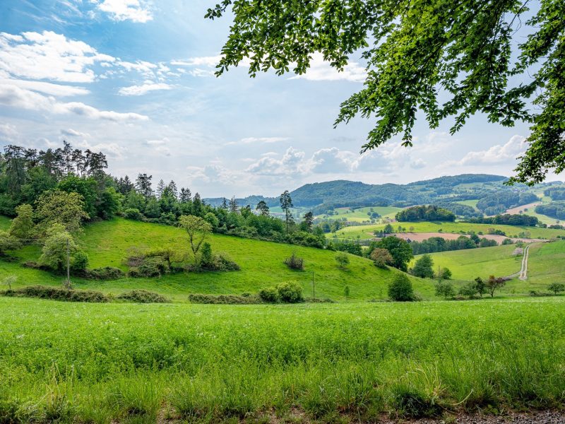 der-odenwald-in-deutschland-ist-reine-natur_181624-32381